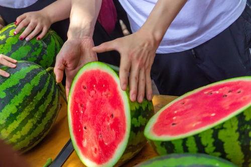 国产精品吃瓜视频免费,免费畅享欢乐时光  第2张