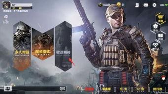 使命召唤历年爆料视频,历年爆料视频回顾,揭秘游戏发展历程 第1张 使命召唤历年爆料视频,历年爆料视频回顾,揭秘游戏发展历程 第1张